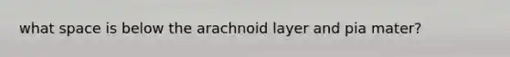 what space is below the arachnoid layer and pia mater?