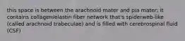 this space is between the arachnoid mater and pia mater; it contains collagen/elastin fiber network that's spiderweb-like (called arachnoid trabeculae) and is filled with cerebrospinal fluid (CSF)