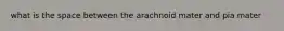 what is the space between the arachnoid mater and pia mater