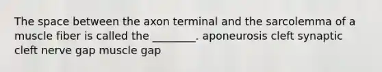 The space between the axon terminal and the sarcolemma of a muscle fiber is called the ________. aponeurosis cleft synaptic cleft nerve gap muscle gap