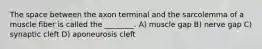 The space between the axon terminal and the sarcolemma of a muscle fiber is called the ________. A) muscle gap B) nerve gap C) synaptic cleft D) aponeurosis cleft