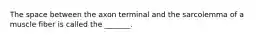 The space between the axon terminal and the sarcolemma of a muscle fiber is called the _______.