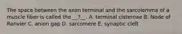 The space between the axon terminal and the sarcolemma of a muscle fiber is called the __?__. A. terminal cisternae B. Node of Ranvier C. anion gap D. sarcomere E. synaptic cleft