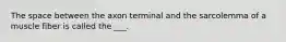The space between the axon terminal and the sarcolemma of a muscle fiber is called the ___.