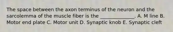 <a href='https://www.questionai.com/knowledge/k0Lyloclid-the-space' class='anchor-knowledge'>the space</a> between the axon terminus of the neuron and the sarcolemma of the muscle fiber is the ______________. A. M line B. Motor end plate C. Motor unit D. Synaptic knob E. Synaptic cleft