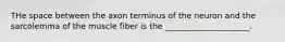 THe space between the axon terminus of the neuron and the sarcolemma of the muscle fiber is the _____________________.