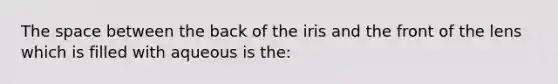 The space between the back of the iris and the front of the lens which is filled with aqueous is the: