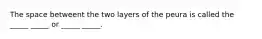 The space betweent the two layers of the peura is called the _____ _____ or _____ _____.