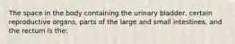 The space in the body containing the urinary bladder, certain reproductive organs, parts of the large and small intestines, and the rectum is the: