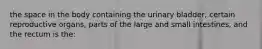 the space in the body containing the urinary bladder, certain reproductive organs, parts of the large and small intestines, and the rectum is the: