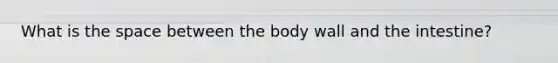 What is the space between the body wall and the intestine?