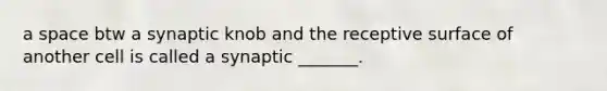 a space btw a synaptic knob and the receptive surface of another cell is called a synaptic _______.