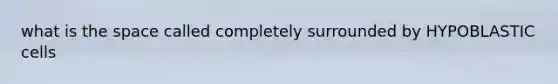 what is the space called completely surrounded by HYPOBLASTIC cells