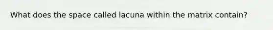 What does <a href='https://www.questionai.com/knowledge/k0Lyloclid-the-space' class='anchor-knowledge'>the space</a> called lacuna within the matrix contain?