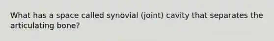 What has a space called synovial (joint) cavity that separates the articulating bone?