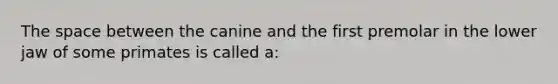 The space between the canine and the first premolar in the lower jaw of some primates is called a: