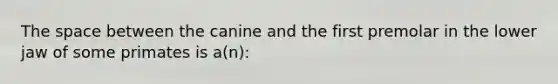 The space between the canine and the first premolar in the lower jaw of some primates is a(n):