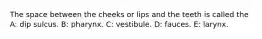 The space between the cheeks or lips and the teeth is called the A: dip sulcus. B: pharynx. C: vestibule. D: fauces. E: larynx.