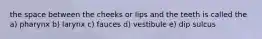 the space between the cheeks or lips and the teeth is called the a) pharynx b) larynx c) fauces d) vestibule e) dip sulcus