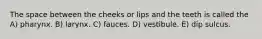 The space between the cheeks or lips and the teeth is called the A) pharynx. B) larynx. C) fauces. D) vestibule. E) dip sulcus.