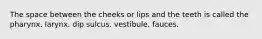 The space between the cheeks or lips and the teeth is called the pharynx. larynx. dip sulcus. vestibule. fauces.