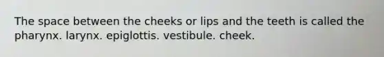 The space between the cheeks or lips and the teeth is called the pharynx. larynx. epiglottis. vestibule. cheek.