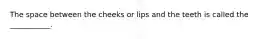 The space between the cheeks or lips and the teeth is called the ___________.