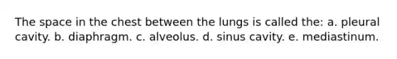 The space in the chest between the lungs is called the: a. pleural cavity. b. diaphragm. c. alveolus. d. sinus cavity. e. mediastinum.