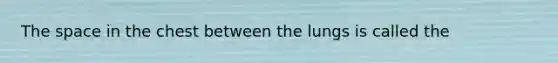 <a href='https://www.questionai.com/knowledge/k0Lyloclid-the-space' class='anchor-knowledge'>the space</a> in the chest between the lungs is called the