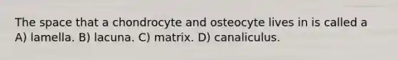 The space that a chondrocyte and osteocyte lives in is called a A) lamella. B) lacuna. C) matrix. D) canaliculus.