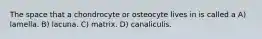 The space that a chondrocyte or osteocyte lives in is called a A) lamella. B) lacuna. C) matrix. D) canaliculis.