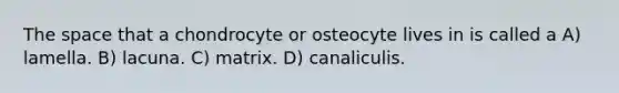 <a href='https://www.questionai.com/knowledge/k0Lyloclid-the-space' class='anchor-knowledge'>the space</a> that a chondrocyte or osteocyte lives in is called a A) lamella. B) lacuna. C) matrix. D) canaliculis.