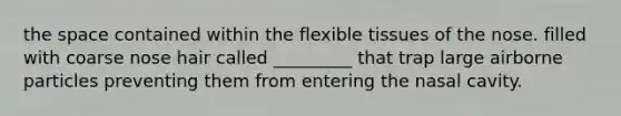 the space contained within the flexible tissues of the nose. filled with coarse nose hair called _________ that trap large airborne particles preventing them from entering the nasal cavity.