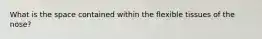 What is the space contained within the flexible tissues of the nose?