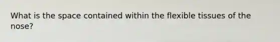 What is the space contained within the flexible tissues of the nose?