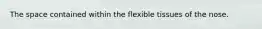 The space contained within the flexible tissues of the nose.