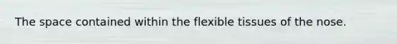 <a href='https://www.questionai.com/knowledge/k0Lyloclid-the-space' class='anchor-knowledge'>the space</a> contained within the flexible tissues of the nose.