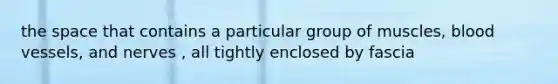 the space that contains a particular group of muscles, blood vessels, and nerves , all tightly enclosed by fascia