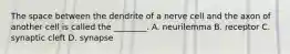 The space between the dendrite of a nerve cell and the axon of another cell is called the​ ________. A. neurilemma B. receptor C. synaptic cleft D. synapse