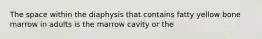 The space within the diaphysis that contains fatty yellow bone marrow in adults is the marrow cavity or the