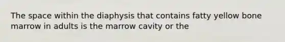 The space within the diaphysis that contains fatty yellow bone marrow in adults is the marrow cavity or the