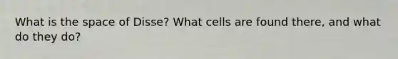 What is the space of Disse? What cells are found there, and what do they do?