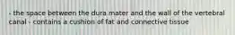 - the space between the dura mater and the wall of the vertebral canal - contains a cushion of fat and connective tissue