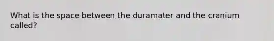 What is the space between the duramater and the cranium called?