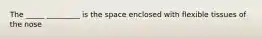 The _____ _________ is the space enclosed with flexible tissues of the nose