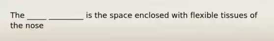 The _____ _________ is <a href='https://www.questionai.com/knowledge/k0Lyloclid-the-space' class='anchor-knowledge'>the space</a> enclosed with flexible tissues of the nose