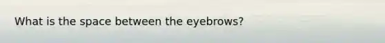 What is the space between the eyebrows?