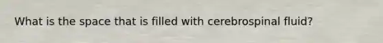 What is the space that is filled with cerebrospinal fluid?