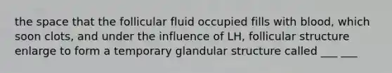 the space that the follicular fluid occupied fills with blood, which soon clots, and under the influence of LH, follicular structure enlarge to form a temporary glandular structure called ___ ___