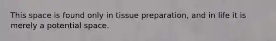 This space is found only in tissue preparation, and in life it is merely a potential space.